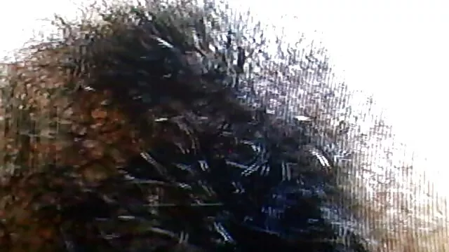 38 porn video